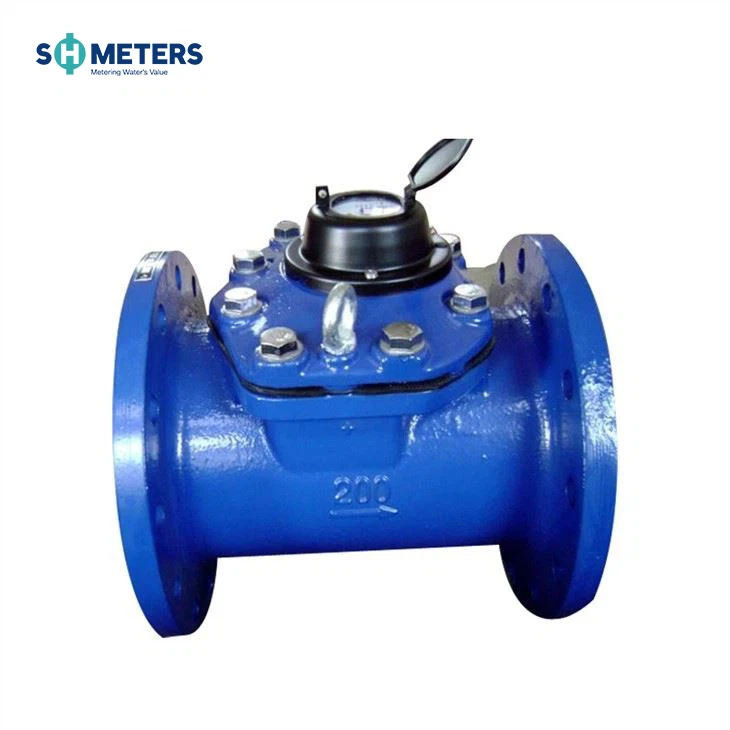 Cold Turbine WI Irrigation Water Meter